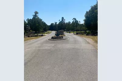 393 Ridge Lake Scenic Drive, Montgomery, TX 77316 - Photo 5