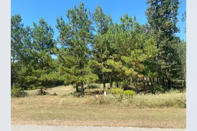 393 Ridge Lake Scenic Drive, Montgomery, TX 77316 - Photo 9