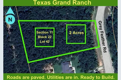 11-22-42 Grey Feather Road, Huntsville, TX 77340 - Photo 1