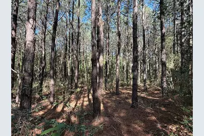 686 Pr 5102, Kennard, TX 75847 - Photo 3