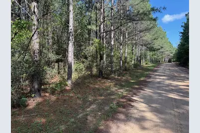 686 Pr 5102, Kennard, TX 75847 - Photo 1