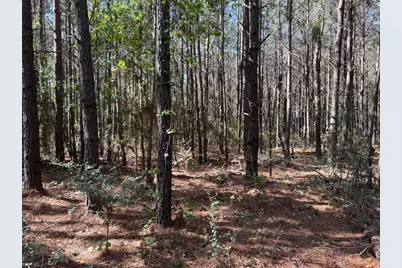 686 Pr 5102, Kennard, TX 75847 - Photo 7