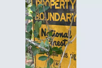 686 Pr 5102, Kennard, TX 75847 - Photo 9