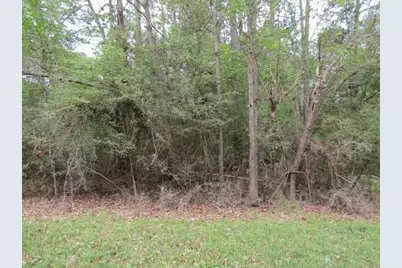 Lot 14 Moose Drive, Onalaska, TX 77360 - Photo 25