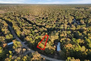 00 Moonlite Dr, Livingston, TX 77351 - Photo 1