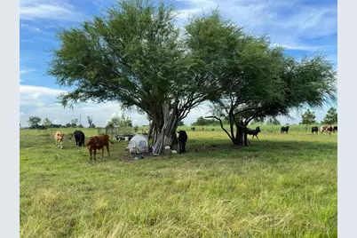 3707 Old Atascocita Road, Huffman, TX 77336 - Photo 3