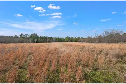 13115 Bethel Road, Montgomery, TX 77356 - Photo 17