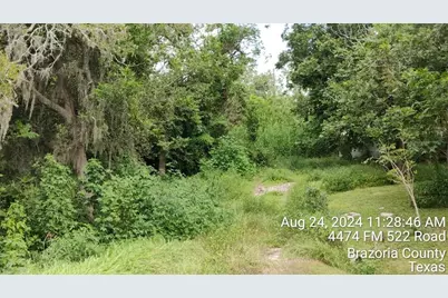4494 Fm 522 Road, Brazoria, TX 77422 - Photo 3