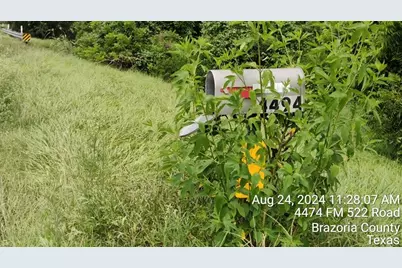 4494 Fm 522 Road, Brazoria, TX 77422 - Photo 1