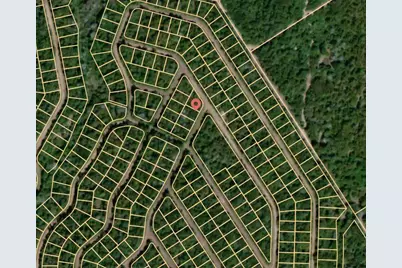 Lot 6 Woodstock Drive, Normangee, TX 77871 - Photo 3