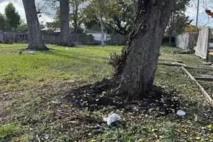 8605 Airline Dr, Houston, TX 77037 - Photo 3