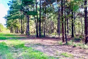 Tbd Cr 2310, Woodville, TX 75979 - Photo 1