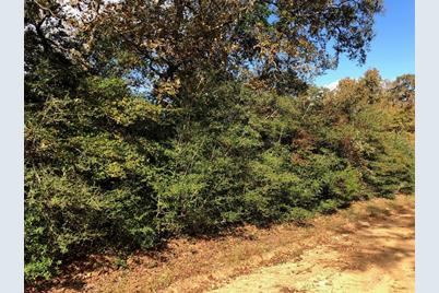 12 Mohawk Lane, Hilltop Lakes, TX 77871 - Photo 5