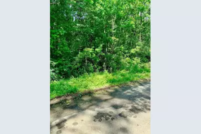 0 Ferito, Buna, TX 77612 - Photo 3