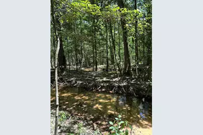 Tbd Pr 7261, Colmesneil, TX 75938 - Photo 11