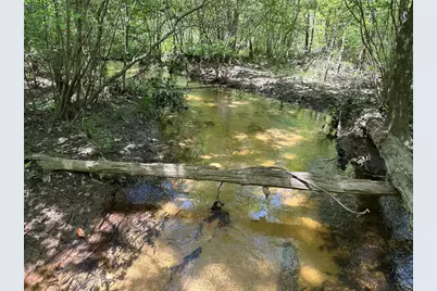 Tbd Pr 7261, Colmesneil, TX 75938 - Photo 1