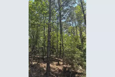 Tbd Pr 7261, Colmesneil, TX 75938 - Photo 23