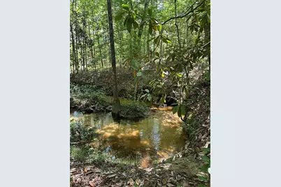 Tbd Pr 7261, Colmesneil, TX 75938 - Photo 7