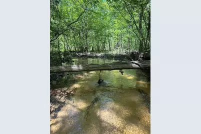 Tbd Pr 7261, Colmesneil, TX 75938 - Photo 33