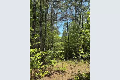 Tbd Pr 7261, Colmesneil, TX 75938 - Photo 3