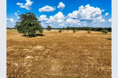 264 Feder Way, West Point, TX 78963 - Photo 1