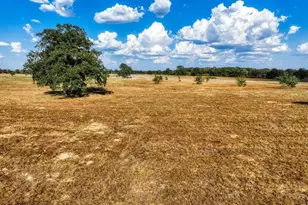 264 Feder Way, West Point, TX 78963 - Photo 1