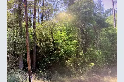 0 E Parkway Drive, Conroe, TX 77302 - Photo 5