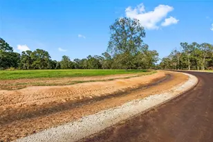 6069 Alans Memorial Ln, New Waverly, TX 77358 - Photo 3