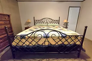 51 Bluewater Dr, Point Blank, TX 77364 - Photo 11