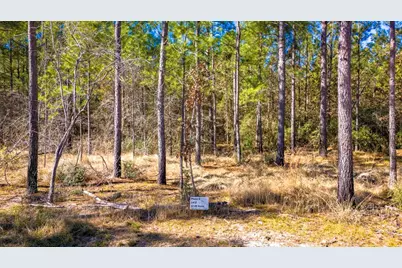 042 Sportsman Retreat Road Road, Onalaska, TX 77360 - Photo 5