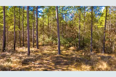 042 Sportsman Retreat Road Road, Onalaska, TX 77360 - Photo 7