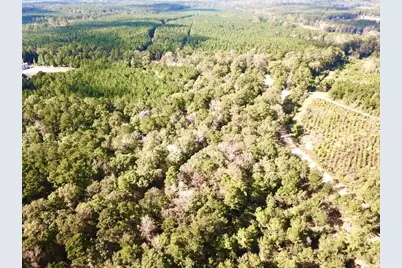 Tbd 38.3+/- Ac Cr 2310, Woodville, TX 75979 - Photo 11