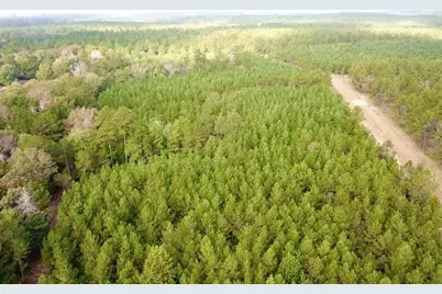 Tbd 38.3+/- Ac Cr 2310, Woodville, TX 75979 - Photo 27