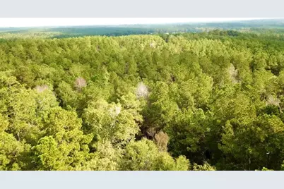 Tbd 38.3+/- Ac Cr 2310, Woodville, TX 75979 - Photo 31