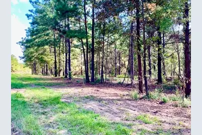 Tbd 38.3+/- Ac Cr 2310, Woodville, TX 75979 - Photo 35