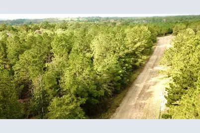 Tbd 38.3+/- Ac Cr 2310, Woodville, TX 75979 - Photo 33