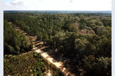 Tbd 38.3+/- Ac Cr 2310, Woodville, TX 75979 - Photo 7