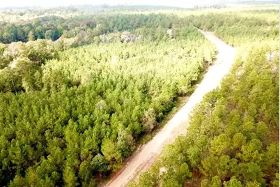 Tbd 38.3+/- Ac Cr 2310, Woodville, TX 75979 - Photo 21