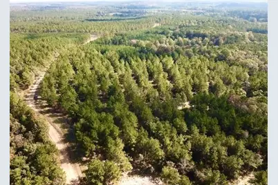 Tbd 38.3+/- Ac Cr 2310, Woodville, TX 75979 - Photo 15