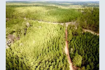 Tbd 38.3+/- Ac Cr 2310, Woodville, TX 75979 - Photo 23