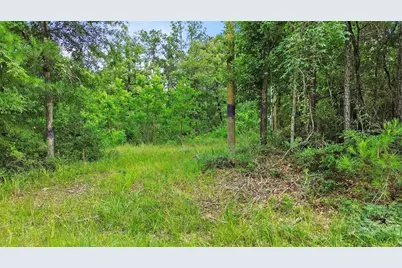 413 N Settlers Way, Trinity, TX 75862 - Photo 7