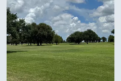 320 Mavanelle Cove, Hempstead, TX 77445 - Photo 11