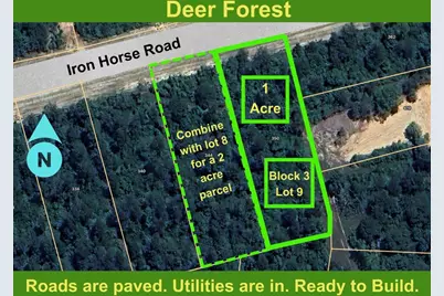 350 Iron Horse Road, Willis, TX 77378 - Photo 1