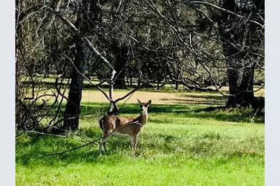 101 Trailblazer Drive, Angleton, TX 77515 - Photo 13