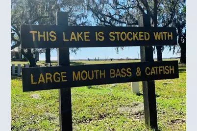 101 Trailblazer Drive, Angleton, TX 77515 - Photo 3