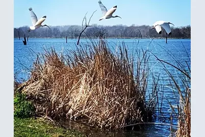 101 Trailblazer Drive, Angleton, TX 77515 - Photo 7