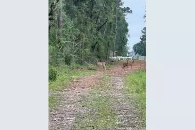 8819 Dowdell Road, Tomball, TX 77375 - Photo 19