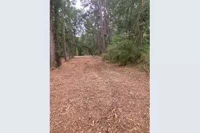 8819 Dowdell Road, Tomball, TX 77375 - Photo 17