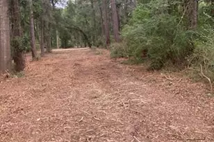 8819 Dowdell Rd, Tomball, TX 77375 - Photo 17