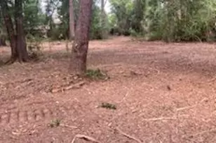 8819 Dowdell Rd, Tomball, TX 77375 - Photo 15